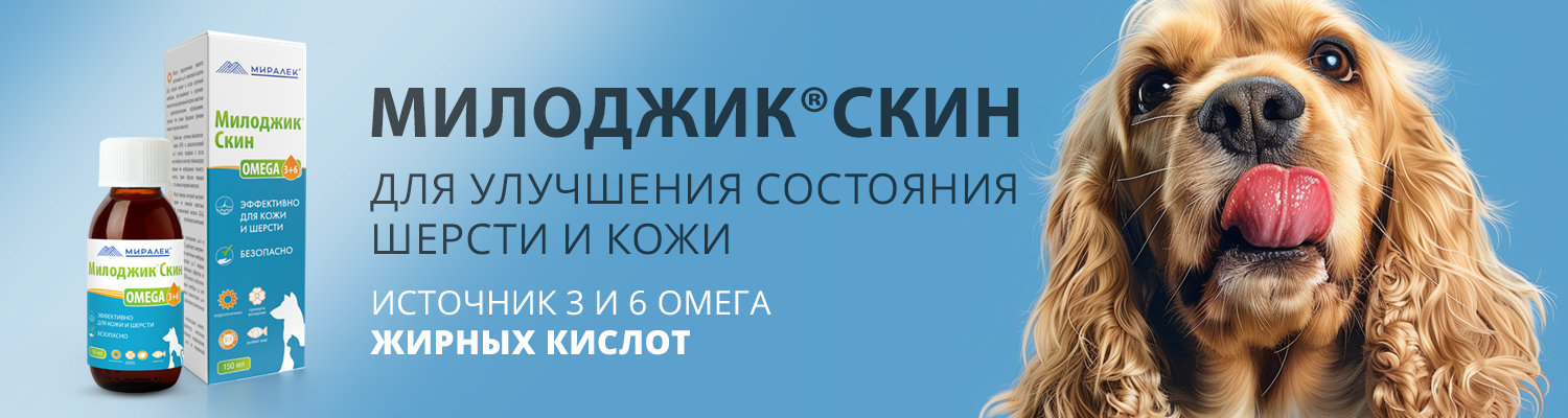 Баннер МДЖ десктоп