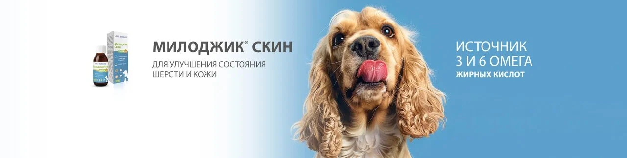 Баннер МДЖ десктоп