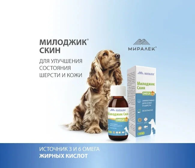 Баннер МДЖ мобилка 3